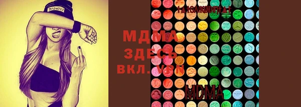 стаф Аркадак