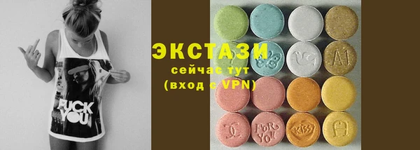 стаф Аркадак