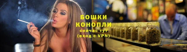 стаф Аркадак