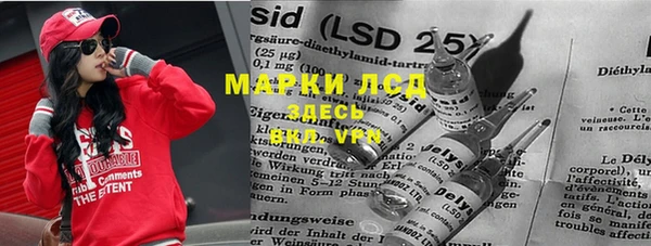 стаф Аркадак