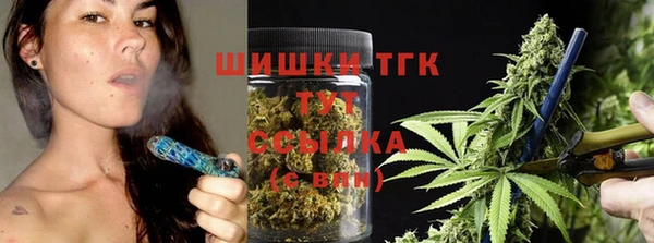 стаф Аркадак