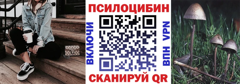 купить наркотик  это как зайти  Галлюциногенные грибы Psilocybine cubensis  Электрогорск 
