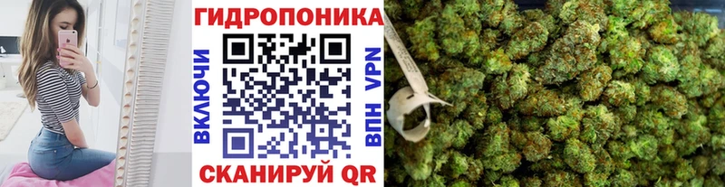 Шишки марихуана план  наркошоп  darknet какой сайт  Электрогорск 